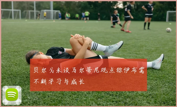 贝尔戈米谈马尔蒂尼观点称伊布需不断学习与成长