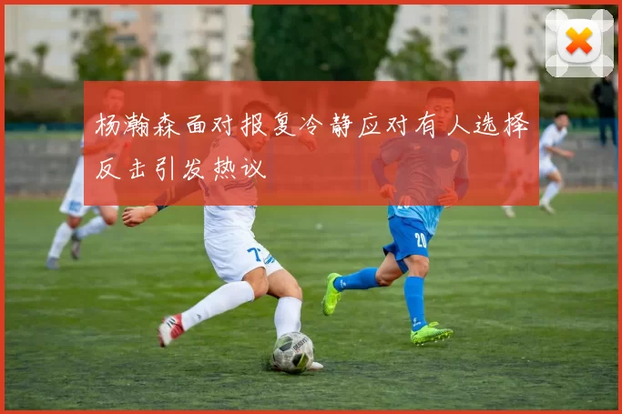 杨瀚森面对报复冷静应对有人选择反击引发热议